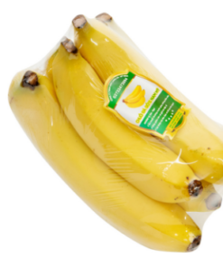 Chuối già giống Nam Mỹ